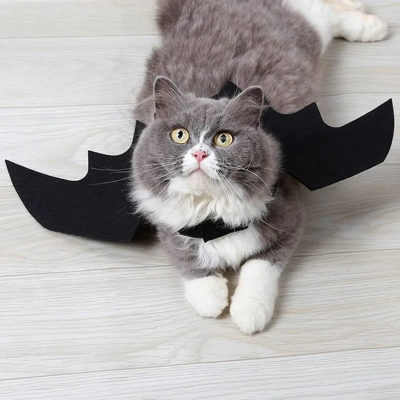 Bat Wings for Cats & Small Dogs