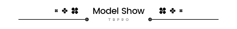 The Long Stand-Collar Trench