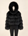 The Hooded Asiatic Raccoon Fur Coat — Black, hooded studio view