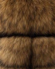 The Hooded Asiatic Raccoon Fur Coat in Natural, hooded — detail view