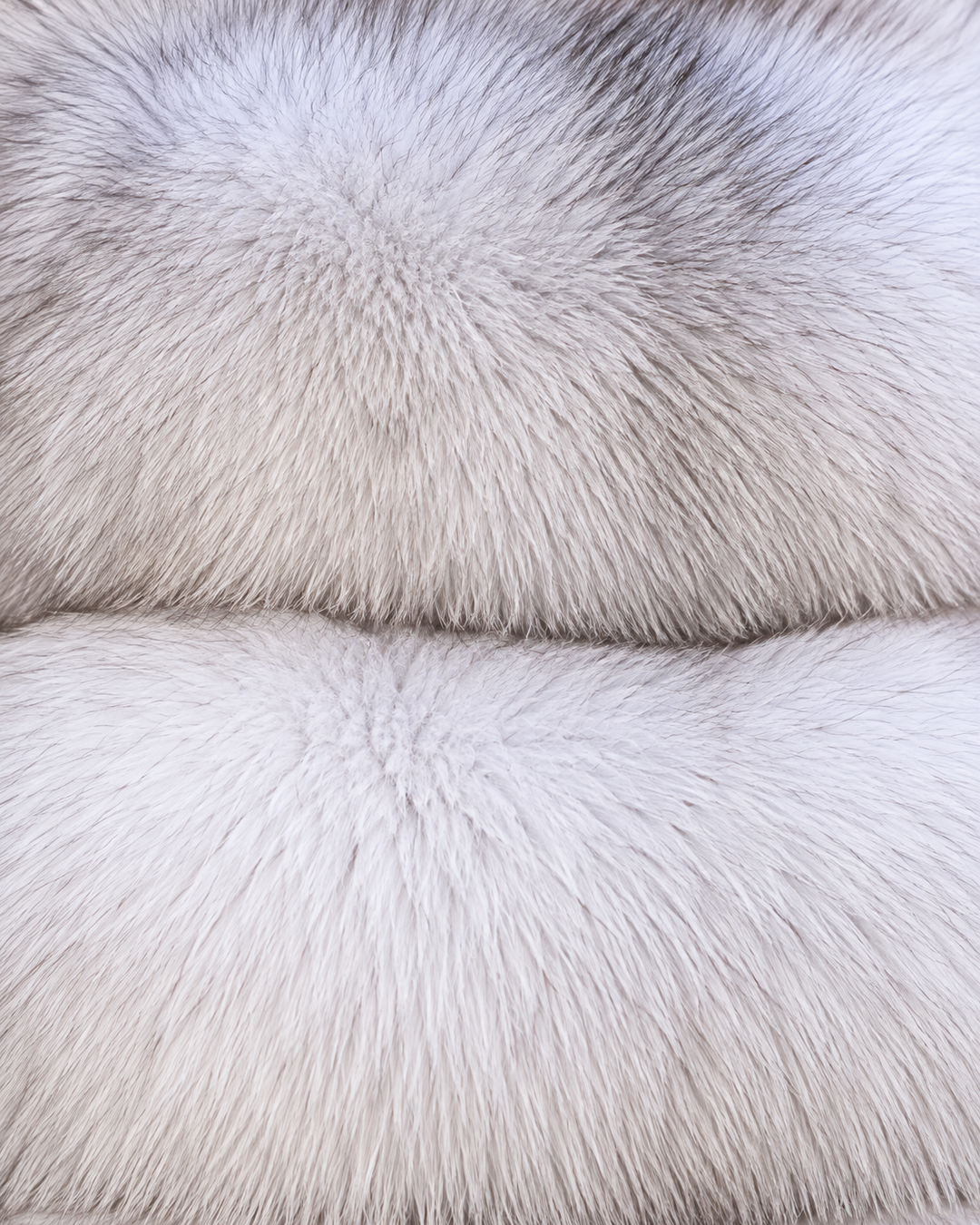The Fox Fur Jacket in Natural White — detail view