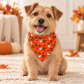 AI styling illustration of a terrier wearing the orange Halloween bandana; see original photos for product details.